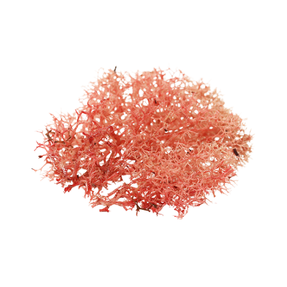Astaxanthin