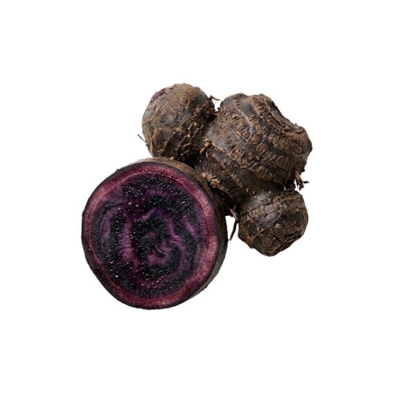 Black Ginger Extract