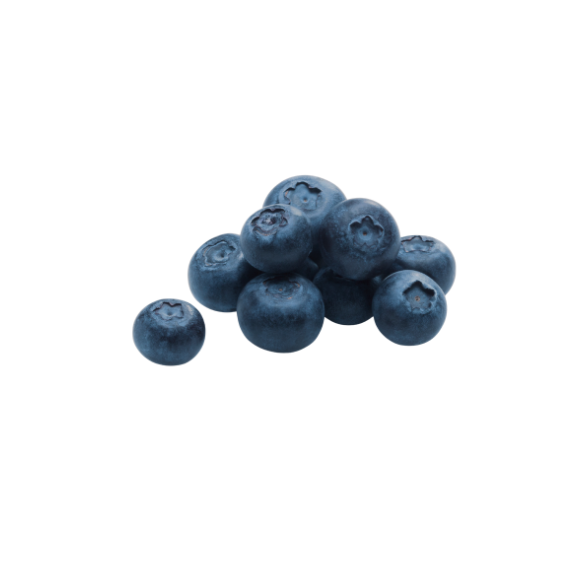 Blueberry Extract