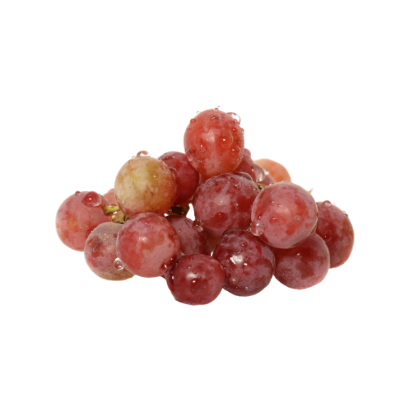 Grape Seed Extract