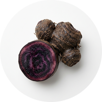 Black Ginger Extract