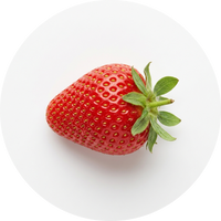 Fisetin Extract