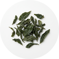 Green Tea (50% EGCG)