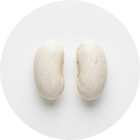 White Kidney Bean