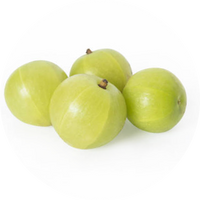Amla (Emblica Officinalis) 45%