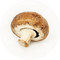 Vitamin B2 (Riboflavin)