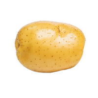 Vitamin B6 (Pyridoxine)