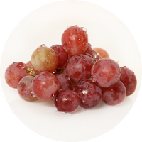 Grape Seed Extract