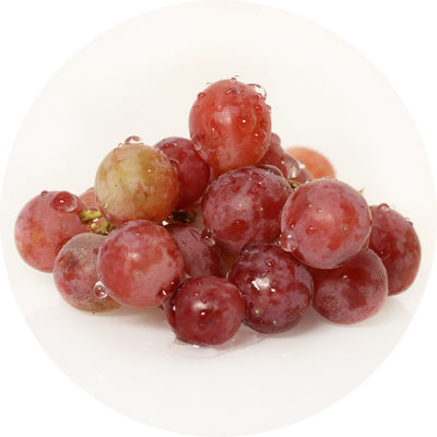 Grape Seed Extract
