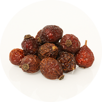 Rosehip Powder Extract (4:1)