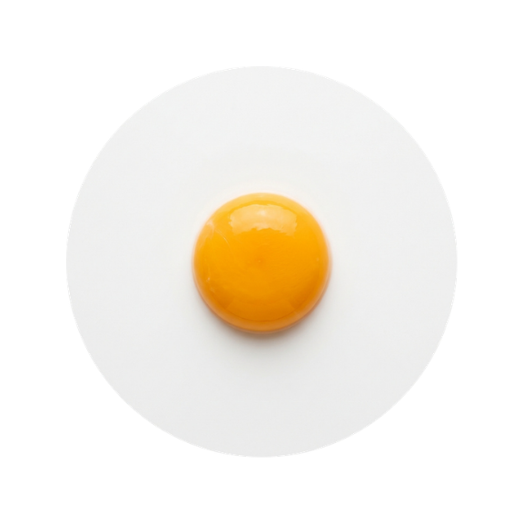 Choline (as Choline Bitartrate)