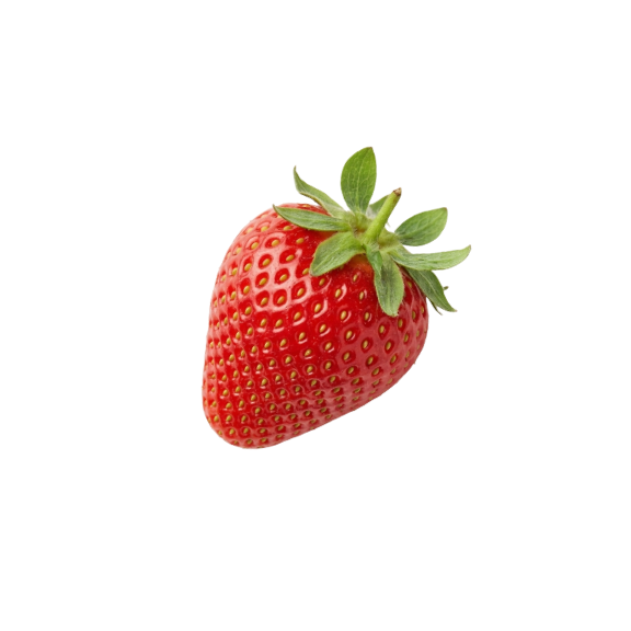 Fisetin Extract