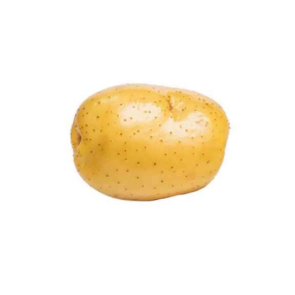 Vitamin B6